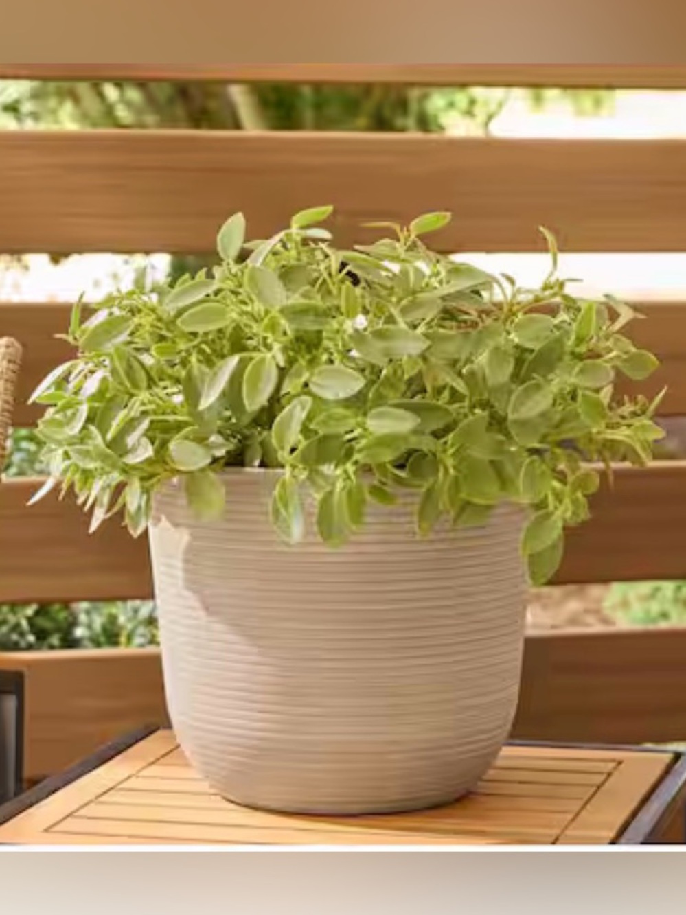 Vigoro Thatcher Medium Beige Round Planter 11.3” Plastic Pot w/ Drainage Hole